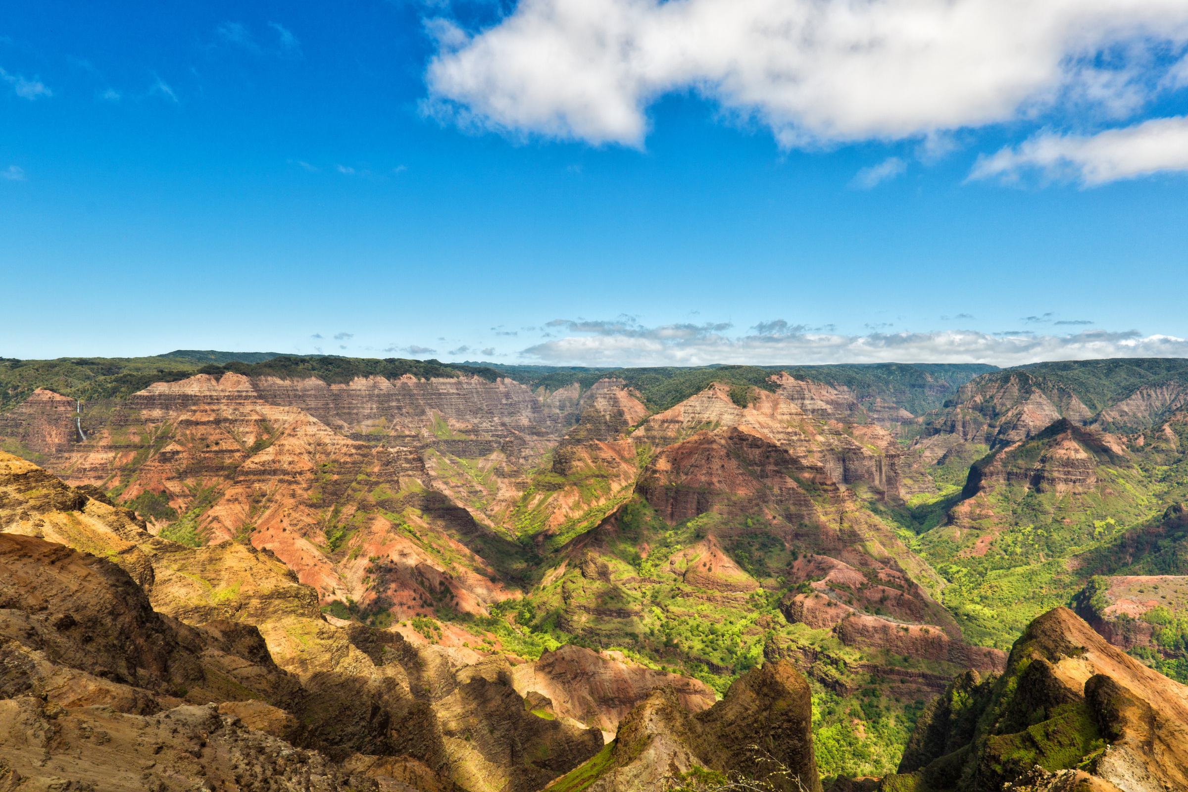 waimea, hawaii (2).webp